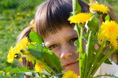 Little girl peeps out through bunch of dandelions