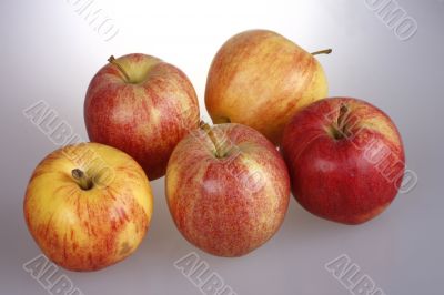 five apples on greyish background