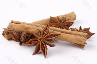 star  anise and cinnamon