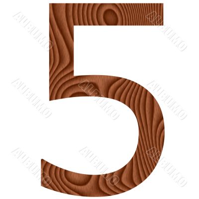 Wooden Number 5