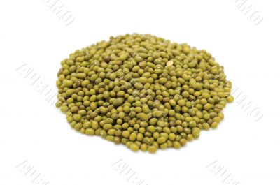  green gram