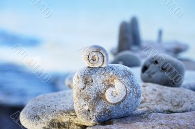 Spiral