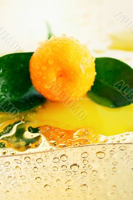 Wet Mandarin