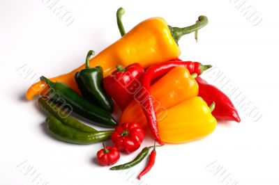 various colorful peppers on white