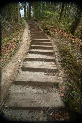 foothpath in forest with steps