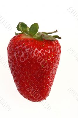 red strawberry on white