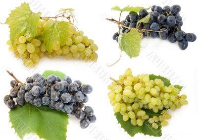 Mixed grape