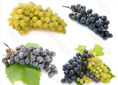 Mixed grape