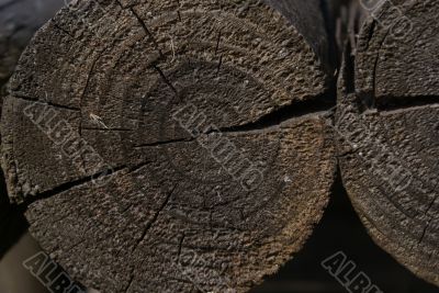 old logs