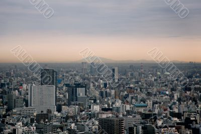 Tokyo view with Fuji mountain