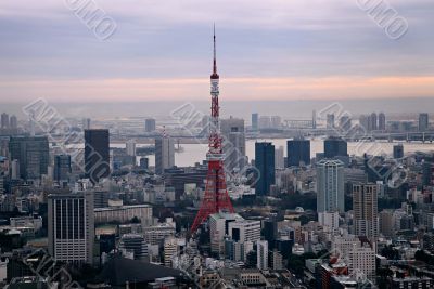Cityscape with Tokyo tower