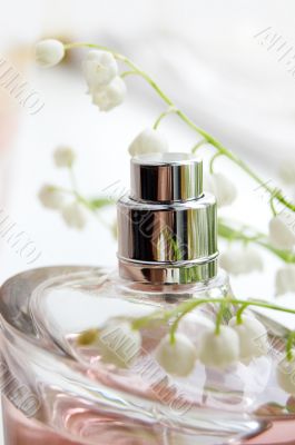 Mayflower fragrance