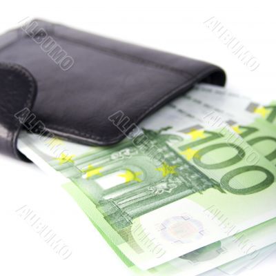 euro and a purse