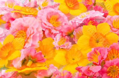 colorful flower background