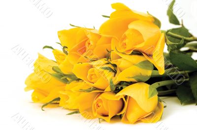 bunch of flowers