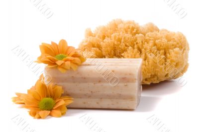 natural sponge, soap and flowers