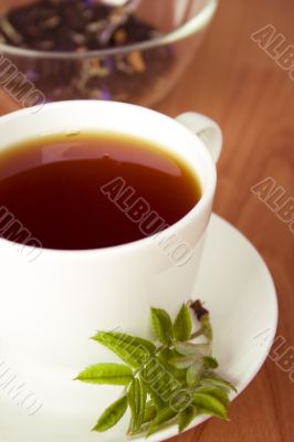 cup of black tea