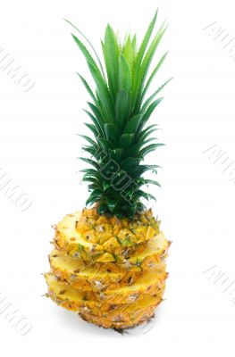 pineapple
