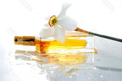 perfume and white flower