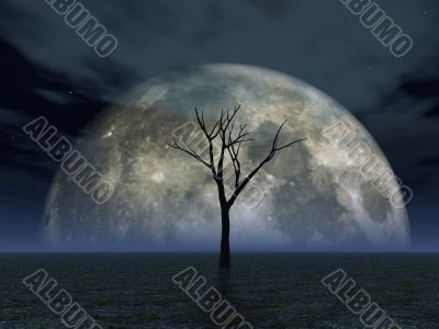 luna