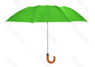 green umbrella