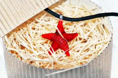 red starfish necklace