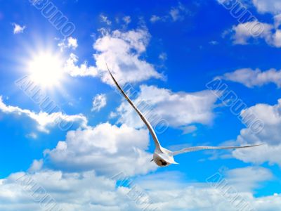 sky