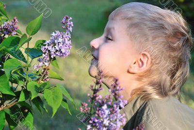 boy is smelling a lilac