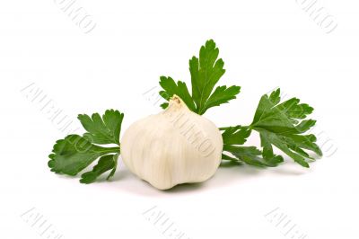garlic with green parsley