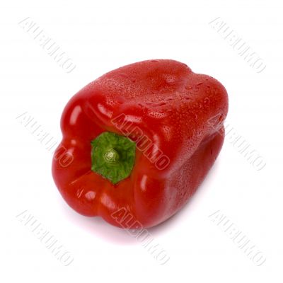 red paprica