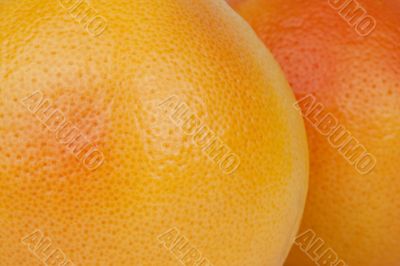 Grapefruit