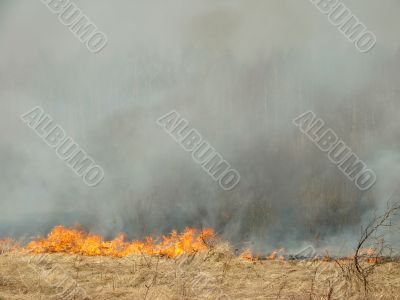wildfire