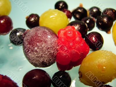 Berry allsorts