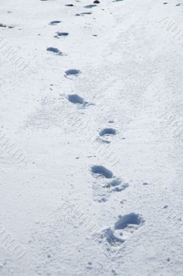 treads on snow