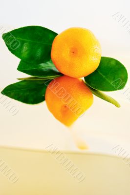 Fresh Mandarin