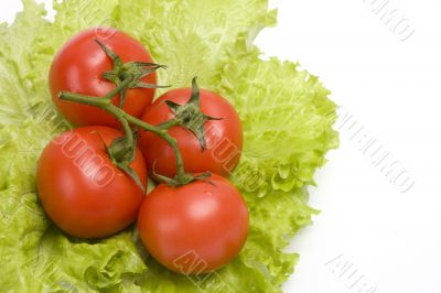 Group red tomato on leaf lettuce.