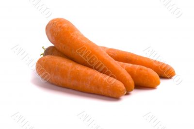 fresh carrots