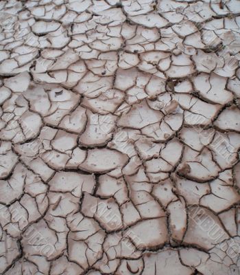 Drought