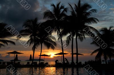 Evening in tropical hotel