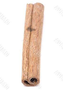 cinnamon close up