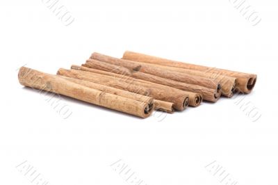 cinnamon closeup