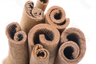 cinnamon macro