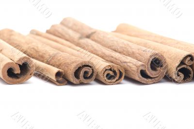 cinnamon on white background