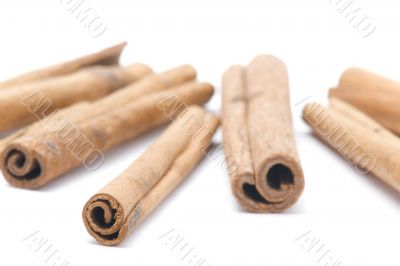 cinnamon on white close up