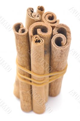 cinnamon on white