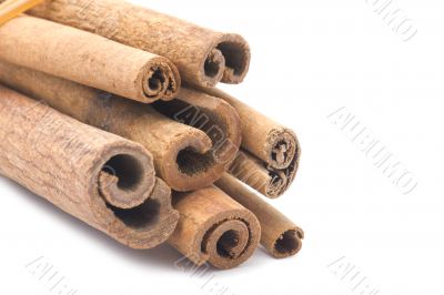 cinnamon