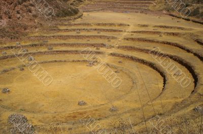 Inca ruins