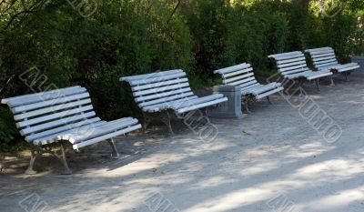 Bench in the park