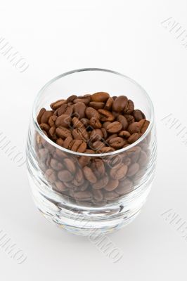 coffea beans in glass on white background