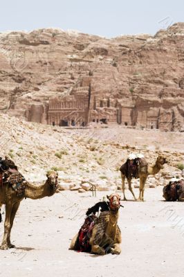 Petra ruins and mountains in Jordan